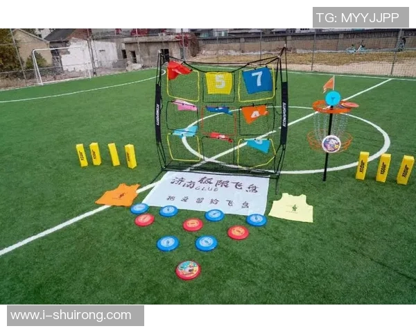 飞盘战术解析：深入剖析杭州飞盘队的区域防守策略与应用