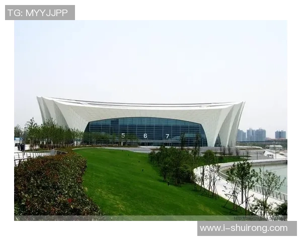 上海排球队在世锦赛上的拼搏历程与荣耀时刻全景回顾 上海排球队在世锦赛上的拼搏历程与荣耀时刻全景回顾