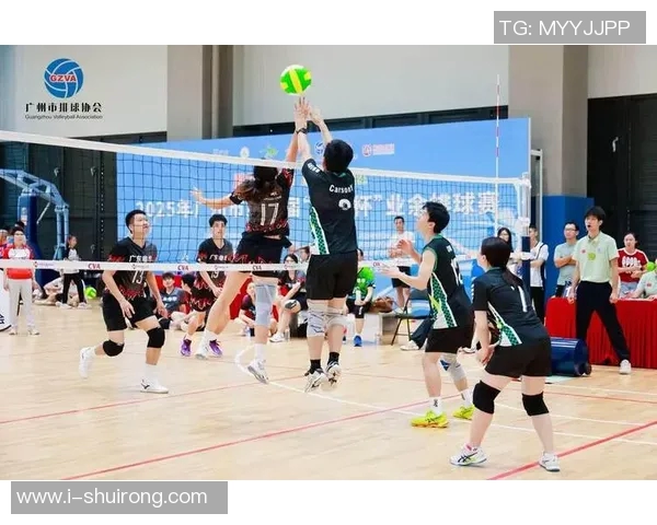 广州排球队在全国排球配合排行榜中荣获第九名展现强劲实力与团队协作