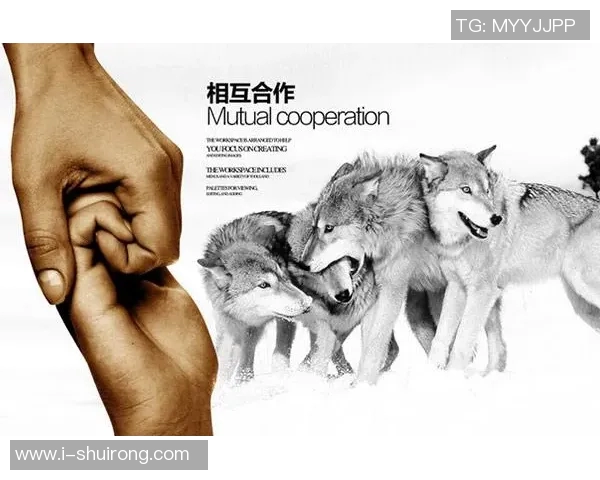 成都篮球队默契配合探讨：如何提升团队协作与战术执行力