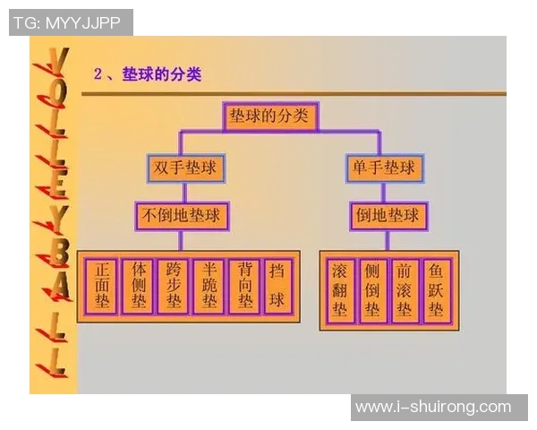 西安排球队的力量解析与排球发展前景展望