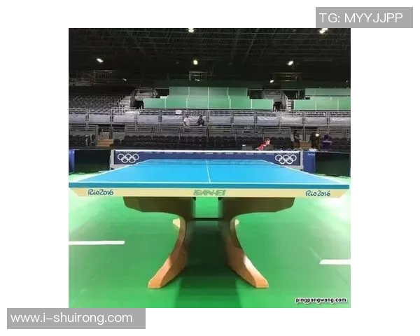 西安乒乓球队的速度之美与技术探秘全景分析 西安乒乓球队的速度之美与技术探秘全景分析