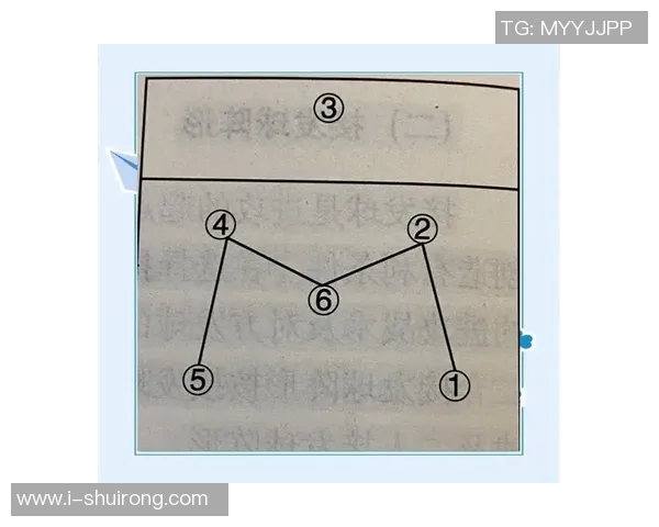 赛后分析：北京排球队与重庆排球队速度对比及战术探讨