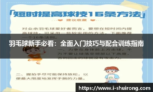 羽毛球新手必看：全面入门技巧与配合训练指南